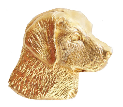 Golden retriever gold plated - retriever,