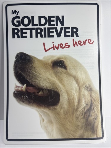 Dog sign golden retriever - dog, my