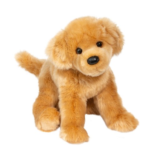 Douglas bella golden retriever - douglas,