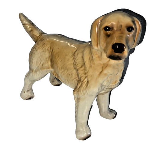 Golden retriever large dog - retriever,