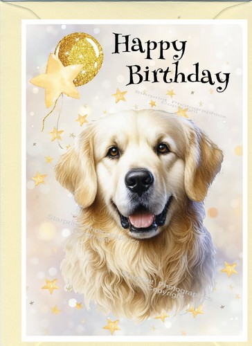 Golden retriever dog - golden,