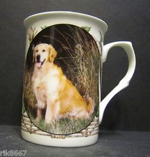 Golden Retriever Dog By Mellor