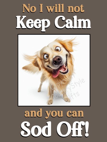 Golden retriever funny - retriever,