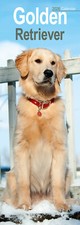 Golden Retriever Slim 2026