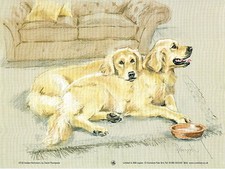 Golden Retriever Print, Golden