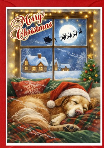 Golden retriever dog 4 x - dog, a6
