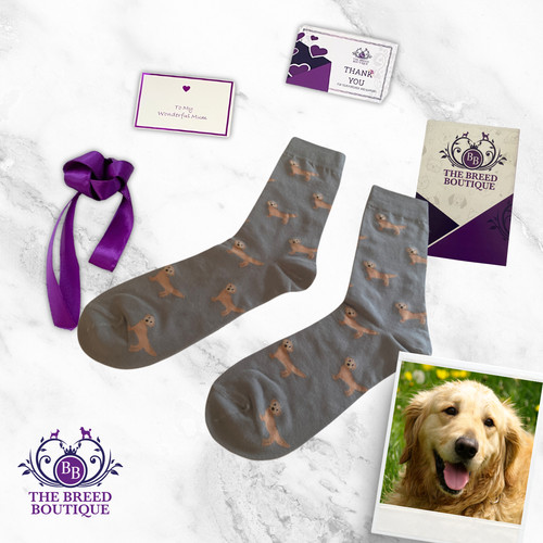 Golden retriever fun socks - retriever,