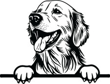 Personalised Laser Engraved