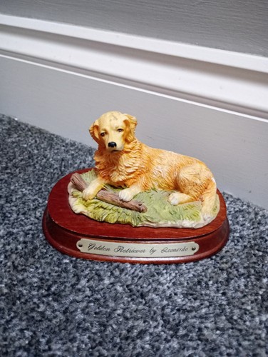 Golden retriever leonardo - golden, by