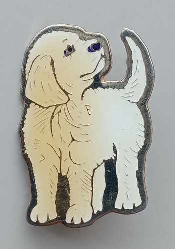 Golden labrador cute puppy - cute,
