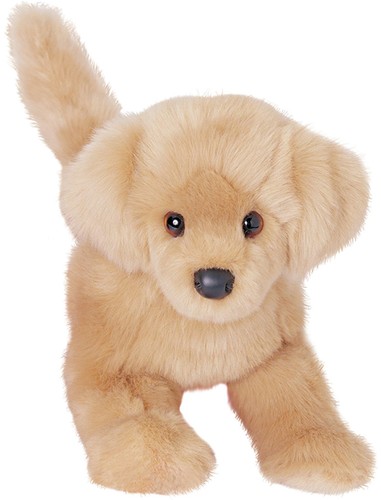 Douglas bella golden - douglas, retriever