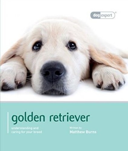 Golden retriever - retriever, (paperback)