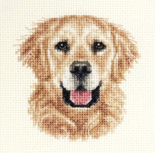 GOLDEN RETRIEVER dog, pup Full