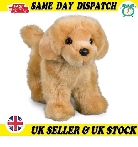Douglas chap golden retriever - douglas,