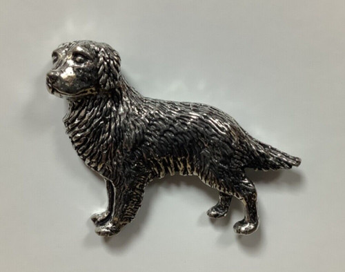 Golden retriever silver pewter - retriever,