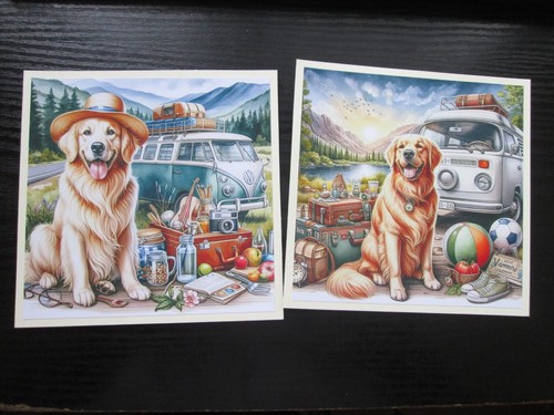 Golden retriever - 2,