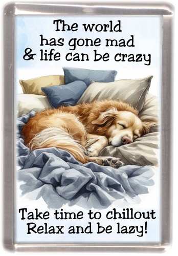 Golden retriever dog - retriever,