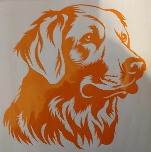 Vinyl decal sticker golden - decal, /