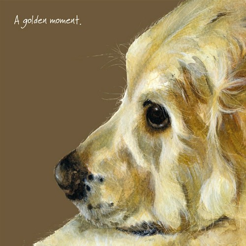 Golden retriever greeting card - golden,