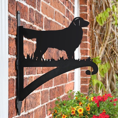 Golden retriever hanging - golden,