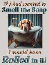 Golden Retriever Funny Gift