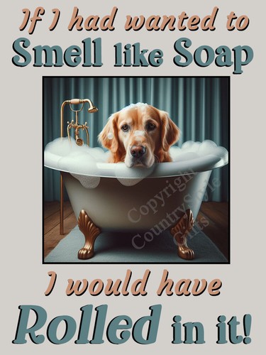 Golden retriever funny gift - funny,