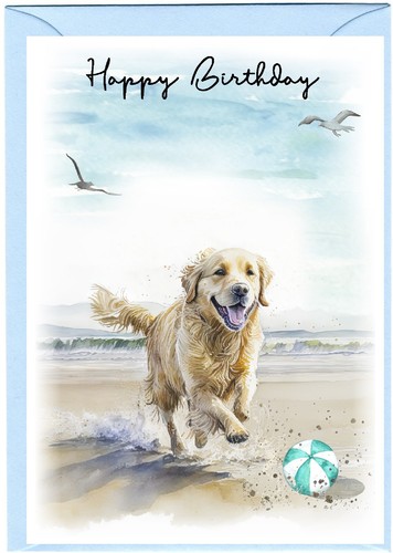 Golden retriever dog - golden, (4"x