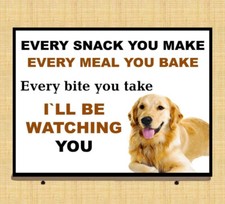 Funny Golden Retriever Dog