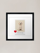 Golden Retriever puppy love